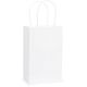 White Cub Solid Kraft Bag