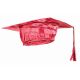 Forum Novelties Child Graduation Cap, Red, One Size