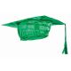 Forum Novelties 80094 Child Graduation Cap, Green One Size