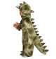 Princess Paradise Kids T-Rex Costume, Small, Green/Brown