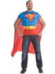 Dc Comics Superman Muscle Chest Top- Adult X-Lar