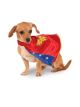 Dc Comics Wonder Woman Pet Cape, Small