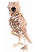 Forum Novelties Skeleton Owl Decoration