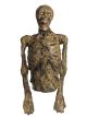 Forum Novelties Rotten Skeleton Torso Large Decoration