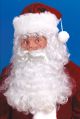 Santa Wig And Beard Set