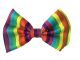 Rainbow Bow Tie (Multicolour)