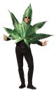 Rasta Imposta Pot Leaf Costume