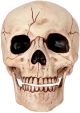 Seasons Crazy Bonez Skeleton Skull with Moveable Jaw