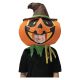 Studio Halloween Photo Real Pumpkin Inf Bobble Head