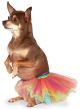 Pet Rainbow Tutu Medium-Large