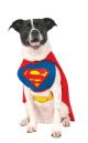 Classic Without Arms Pet Superman Costume Small