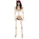 Posable Full Size Pirate Skeleton