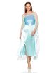 Womens Disney Frozen Elsa Deluxe Costume Light Blue Small 4-6