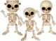 Seasons Franky Vampire & Skeleton Bonez Asst 7