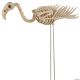 Morris FLAMINGO SKELETON