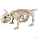 Morris PIG SKELETON