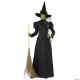 Morris PLUS SIZE CLASSIC DELUXE WITCH COSTUME