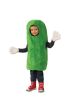 Baby/Toddler Little Pickle Costume (Toddler)