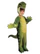 Boys Toddler Dino-Mite Costume (Toddler)