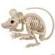 Morris RAT ATTACK SKELETON 21.5 INCHES