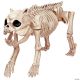 Morris SKELETON BONES THE DOG PROP