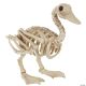 Morris SKELETON DUCK BONEZ PROP