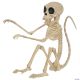 Morris SKELETON MONKEY