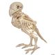 Morris SKELETON PARROT PROP