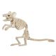 Morris STANDING MOUSE SKELETON