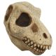 Morris T REX SKULL MASK