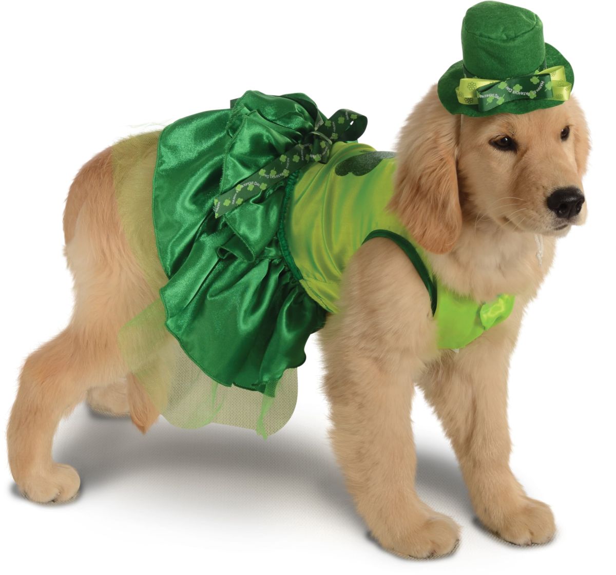 Lucky Dog Pet CostumeMeduim