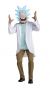 Adult Rick and Morty Rick Costume, Small