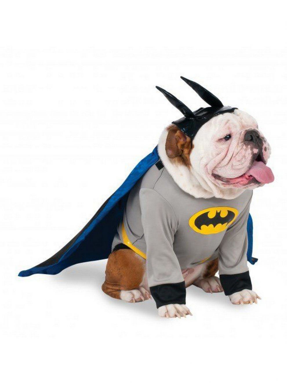 Dc Comics Batman Big Dog Boutique, Xxx-Large