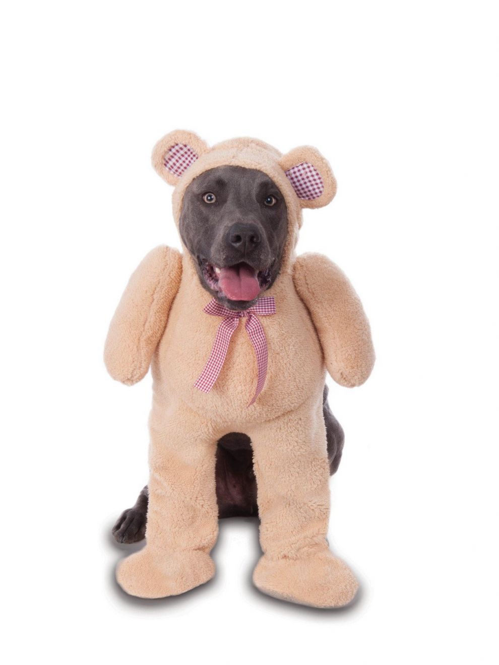 Rubies Costume Co Big Dogs Walking Teddy Bear Pet Costume, Xxx-Large